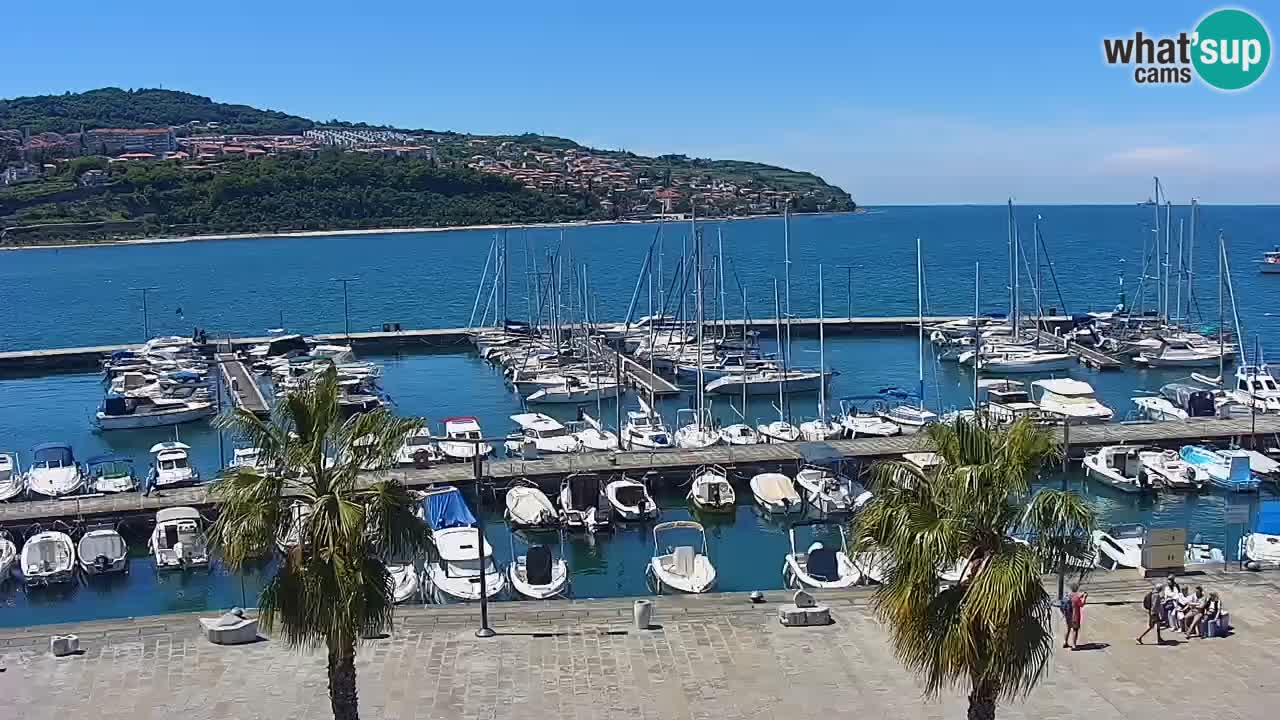Spletna kamera Koper – Panorama na marino in promenado s Hotela Grand Koper