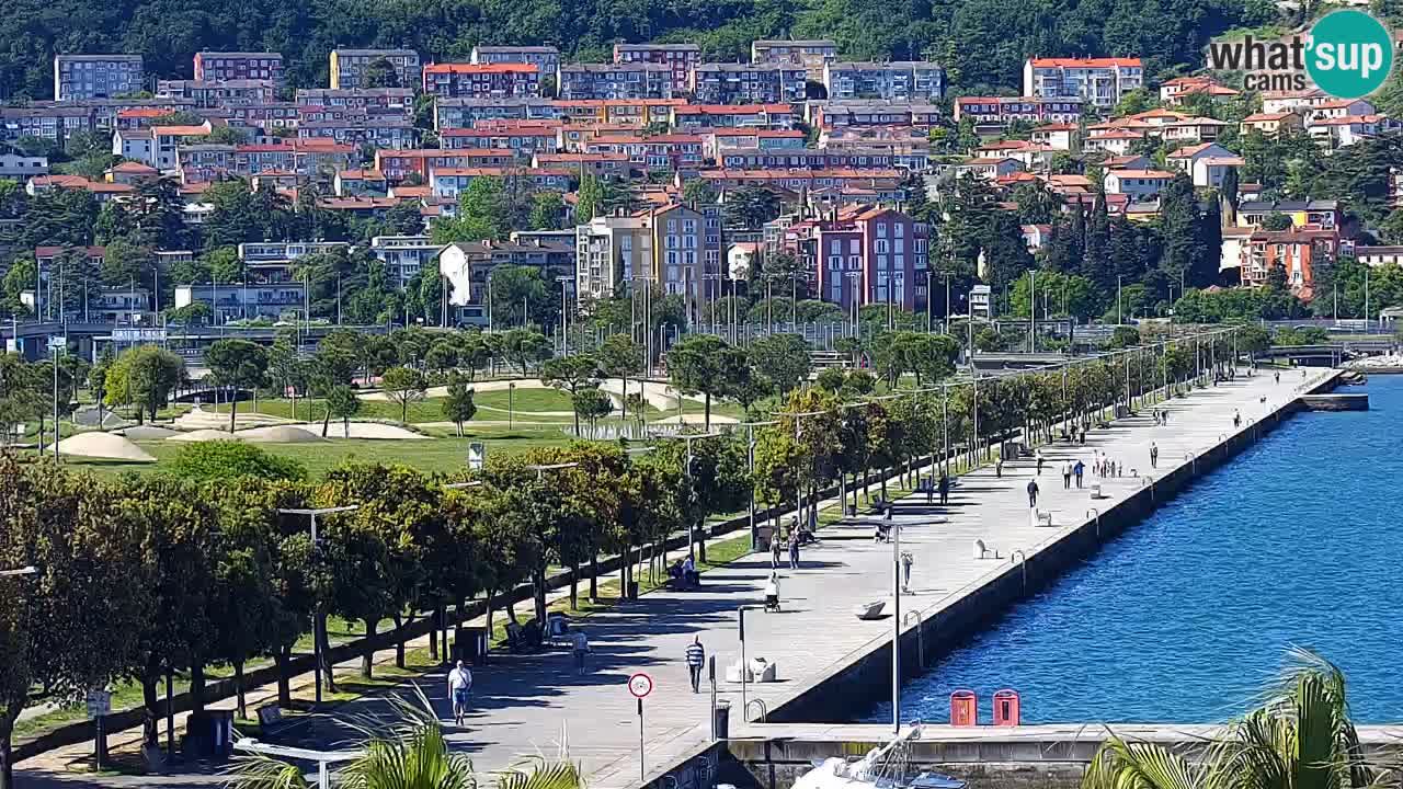 Camera en vivo Koper – puerto deportivo y paseo marítimo desde el Hotel Grand Koper