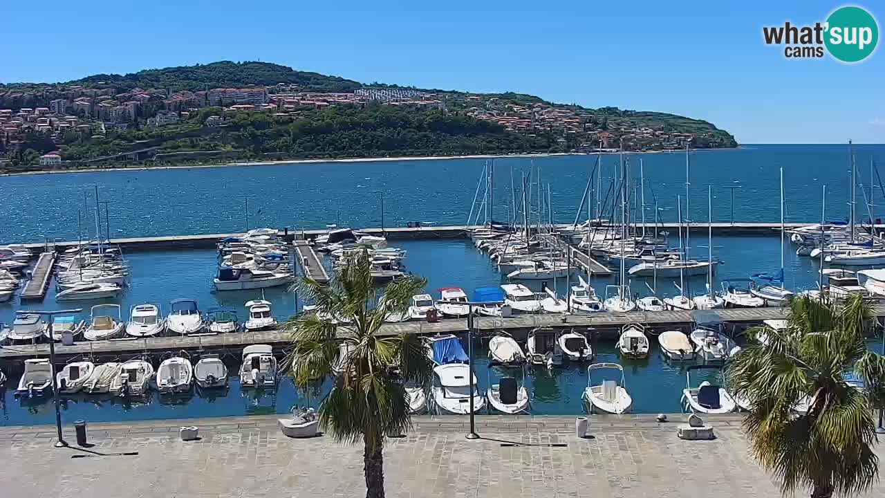 Webcam Koper – Panorama des Jachthafens und der Promenade vom Hotel Grand Koper
