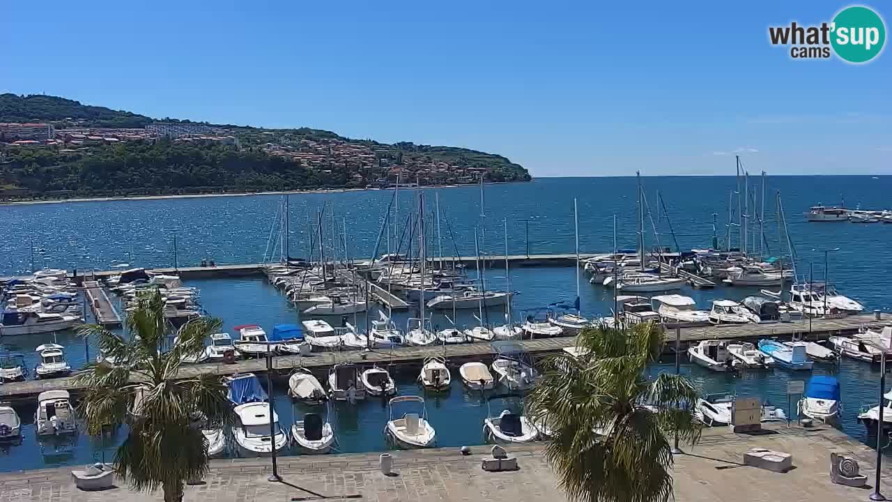 Webcam Koper – Panorama of the marina and promenade from the Grand Hotel Koper
