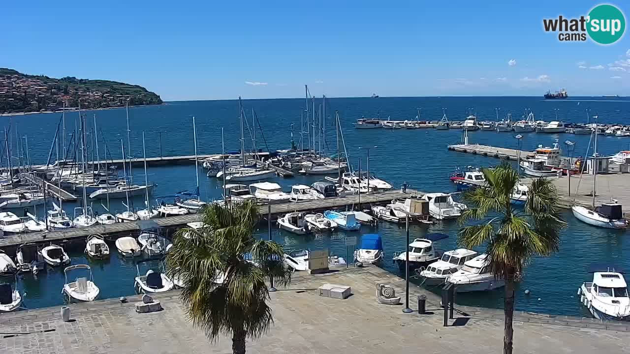 Webcam Koper – Panorama de la marina et de la promenade depuis le Grand Hotel Koper