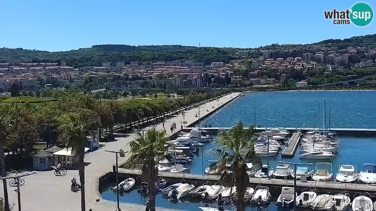 Spletna kamera Koper – Panorama na marino in promenado s Hotela Grand Koper