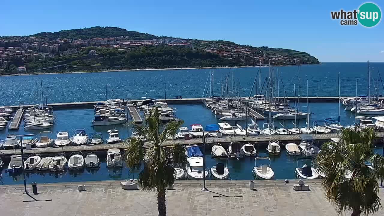 Spletna kamera Koper – Panorama na marino in promenado s Hotela Grand Koper