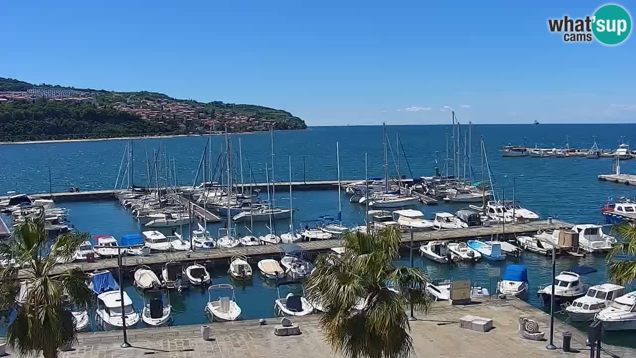 Web kamera Koper – marina i promenada – hotel Grand Koper