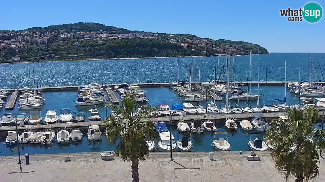 Webcam Koper – Panorama of the marina and promenade from the Grand Hotel Koper