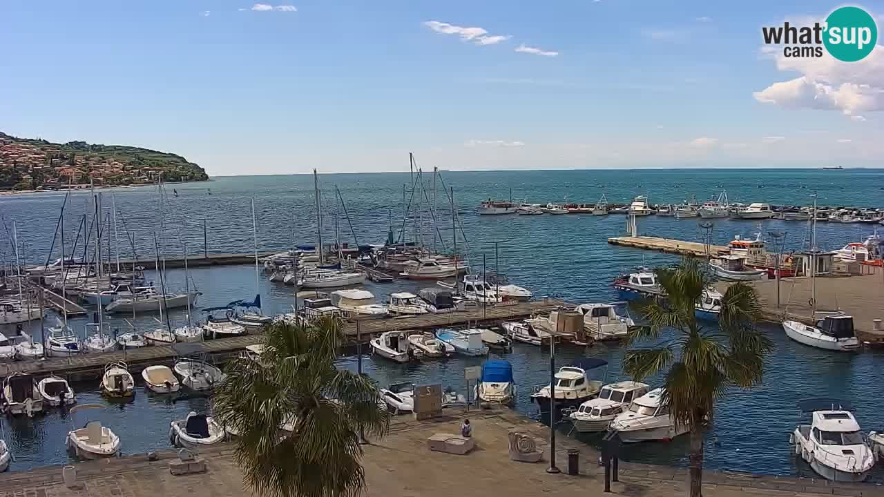 Webcam Koper – Panorama of the marina and promenade from the Grand Hotel Koper