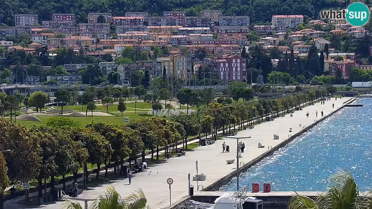 Camera en vivo Koper – puerto deportivo y paseo marítimo desde el Hotel Grand Koper