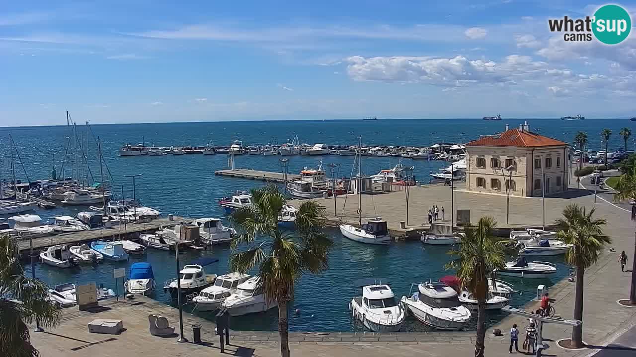 Web kamera Koper – marina i promenada – hotel Grand Koper