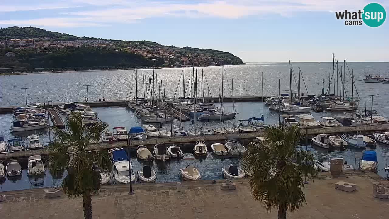 Webcam Koper – Panorama des Jachthafens und der Promenade vom Hotel Grand Koper