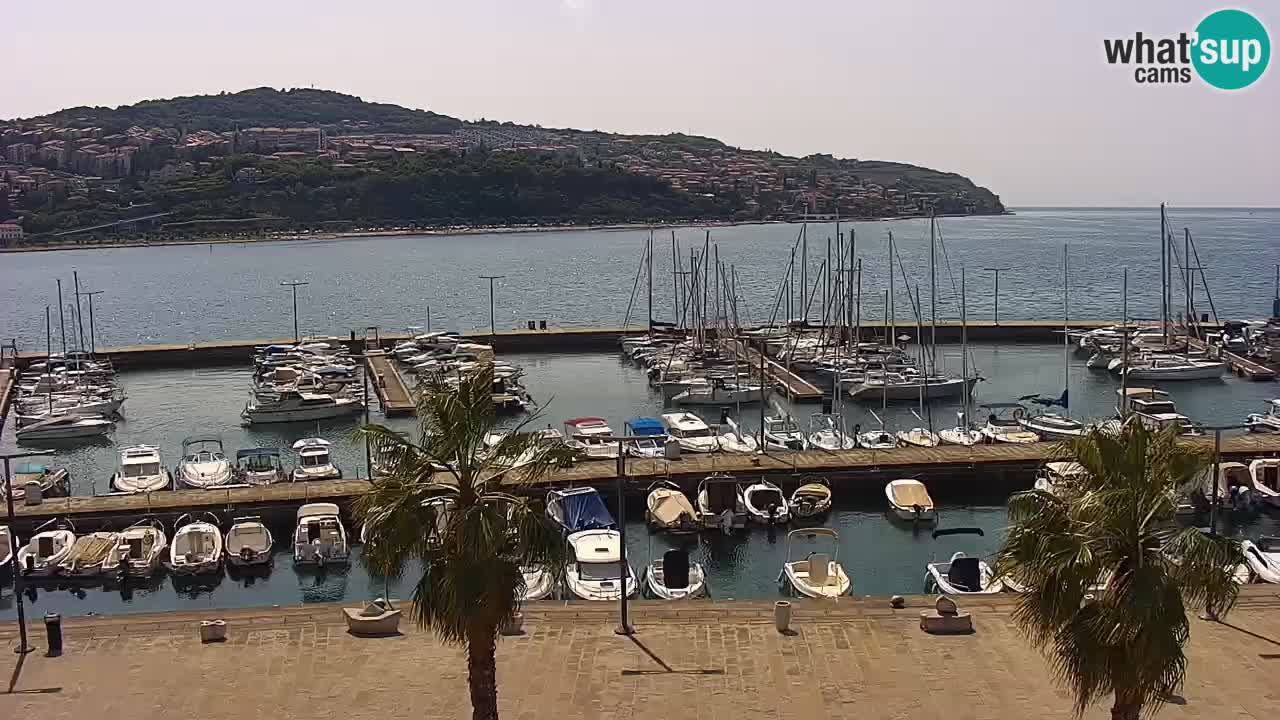 Camera en vivo Koper – puerto deportivo y paseo marítimo desde el Hotel Grand Koper
