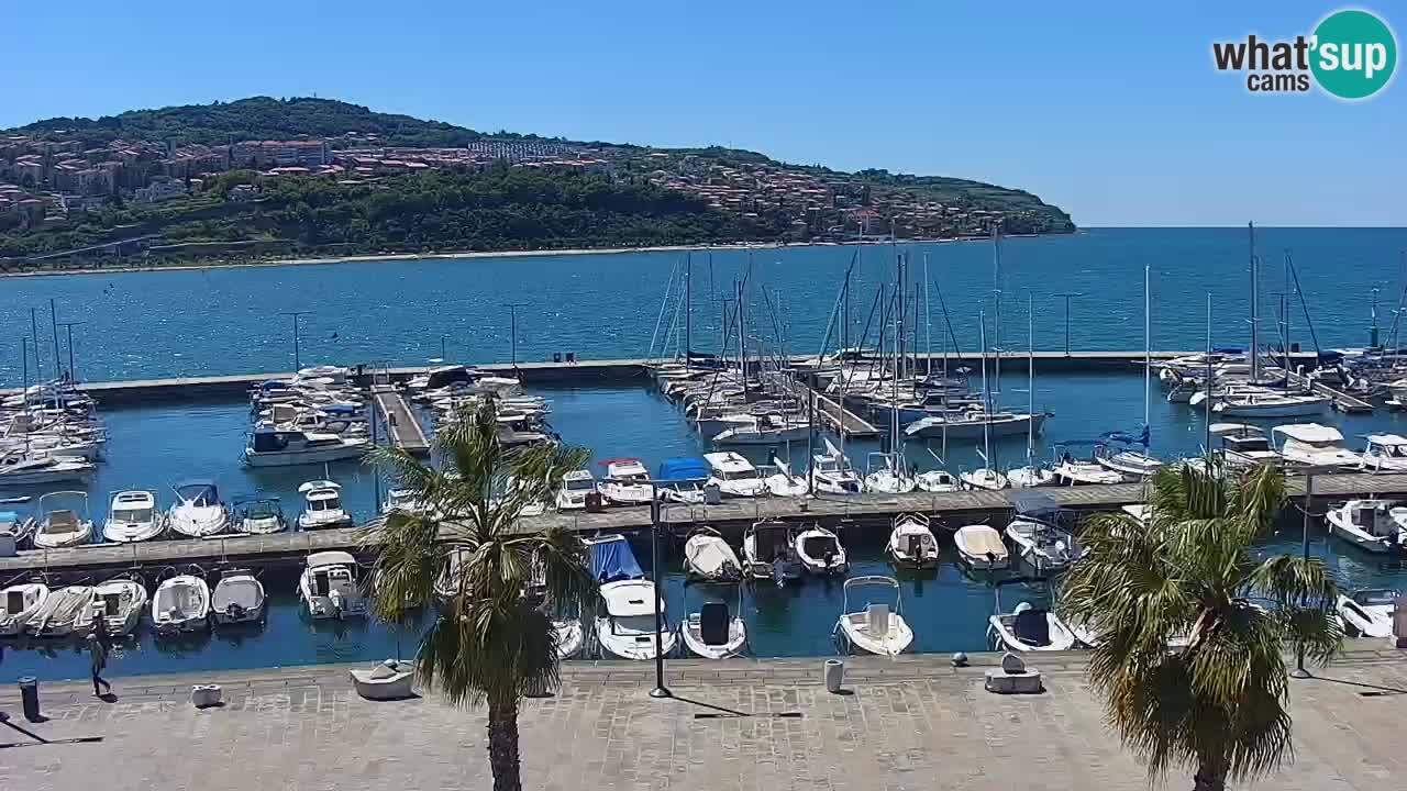 Camera en vivo Koper – puerto deportivo y paseo marítimo desde el Hotel Grand Koper