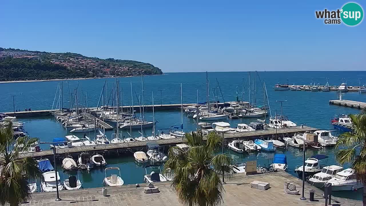 Webcam Koper – Panorama des Jachthafens und der Promenade vom Hotel Grand Koper