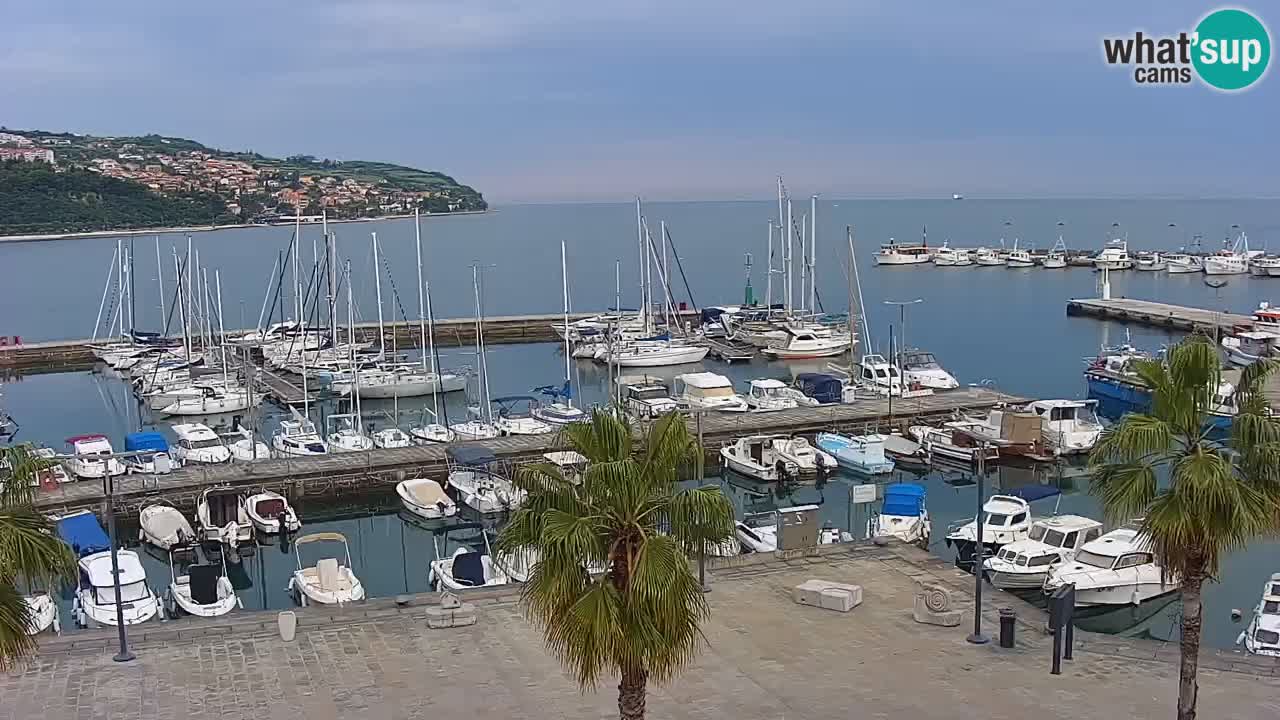 Webcam Capodistria – marina e lungo mare dall’Hotel Grand Koper