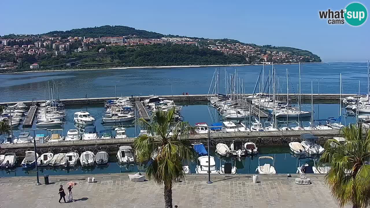 Spletna kamera Koper – Panorama na marino in promenado s Hotela Grand Koper