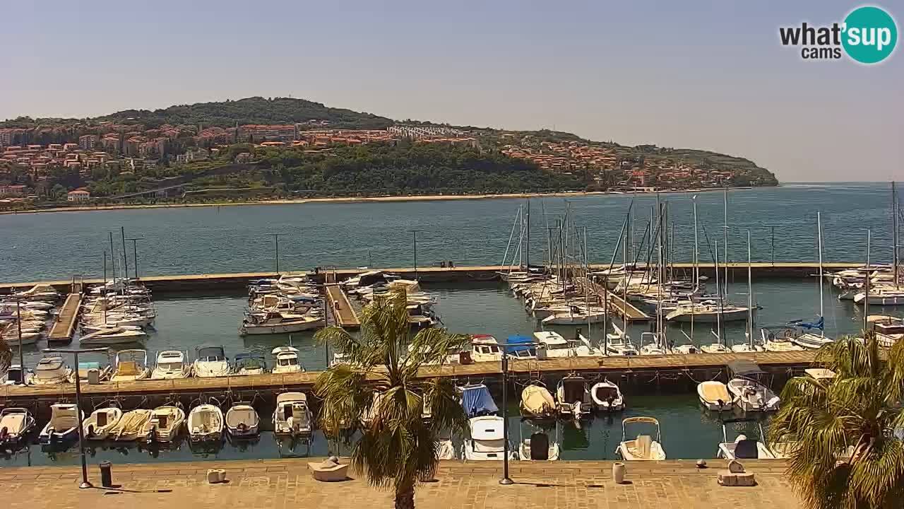 Spletna kamera Koper – Panorama na marino in promenado s Hotela Grand Koper