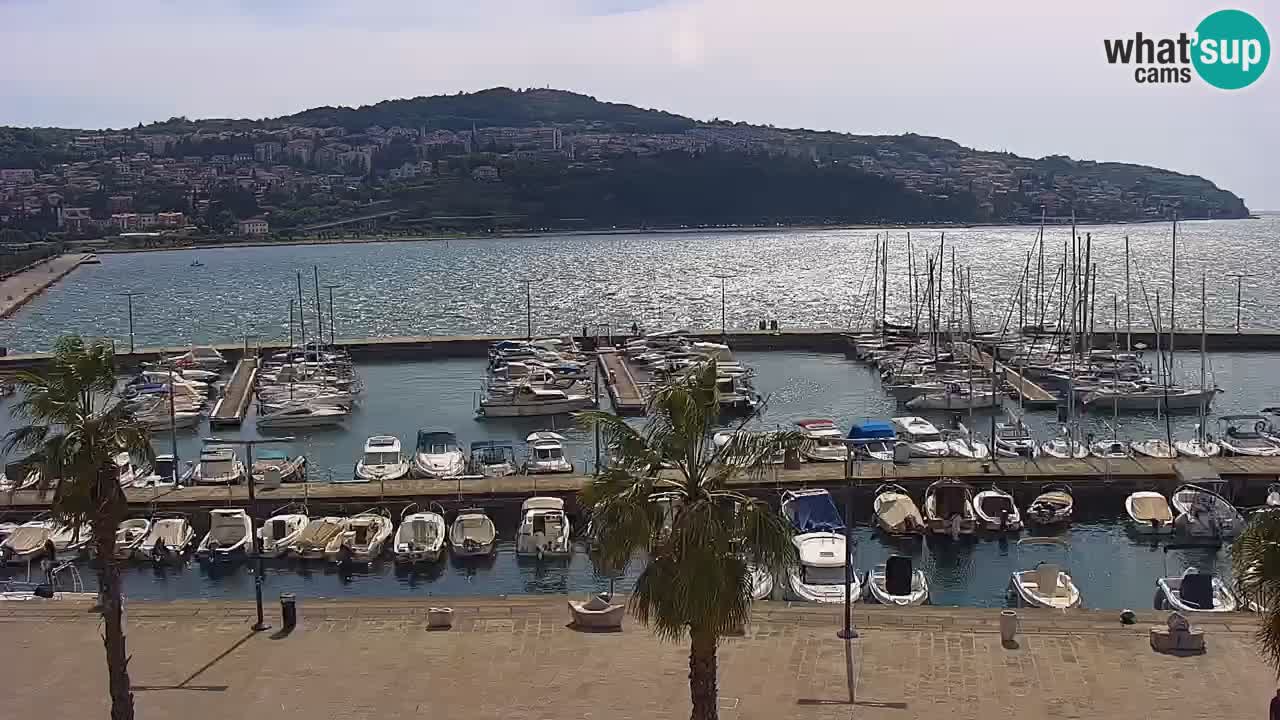 Camera en vivo Koper – puerto deportivo y paseo marítimo desde el Hotel Grand Koper