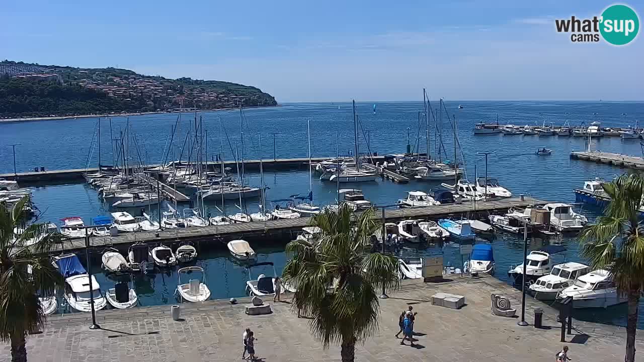 Web kamera Koper – marina i promenada – hotel Grand Koper