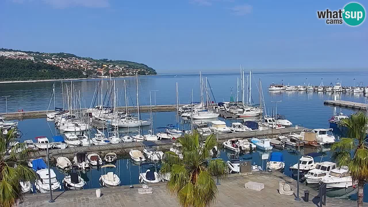 Webcam Koper – Panorama des Jachthafens und der Promenade vom Hotel Grand Koper