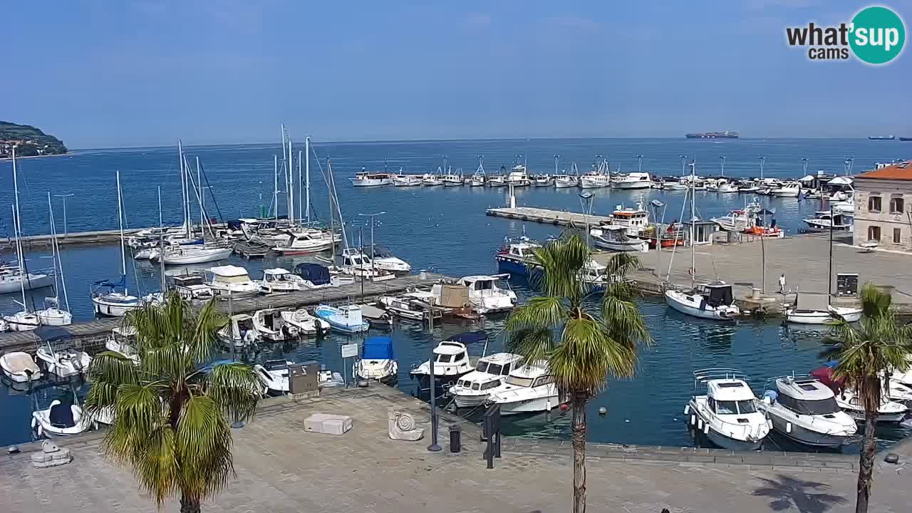 Webcam Koper – Panorama of the marina and promenade from the Grand Hotel Koper