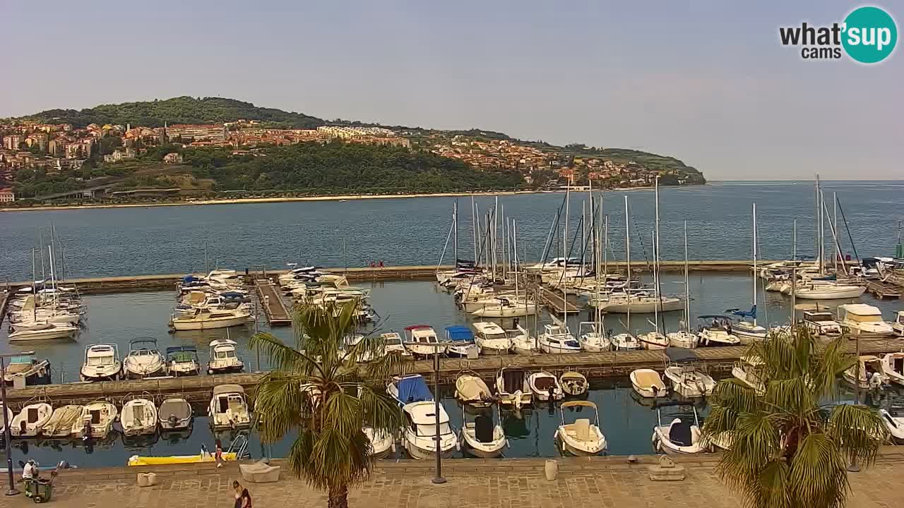 Webcam Koper – Panorama of the marina and promenade from the Grand Hotel Koper