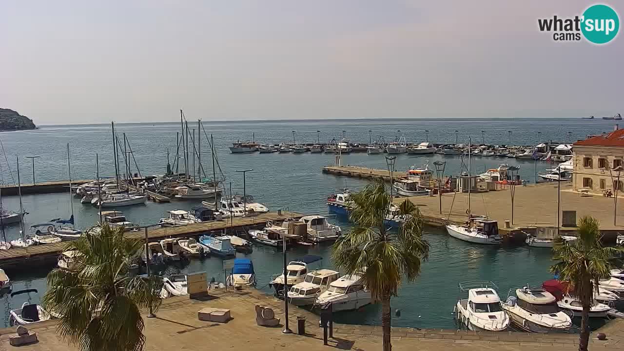Webcam Koper – Panorama of the marina and promenade from the Grand Hotel Koper