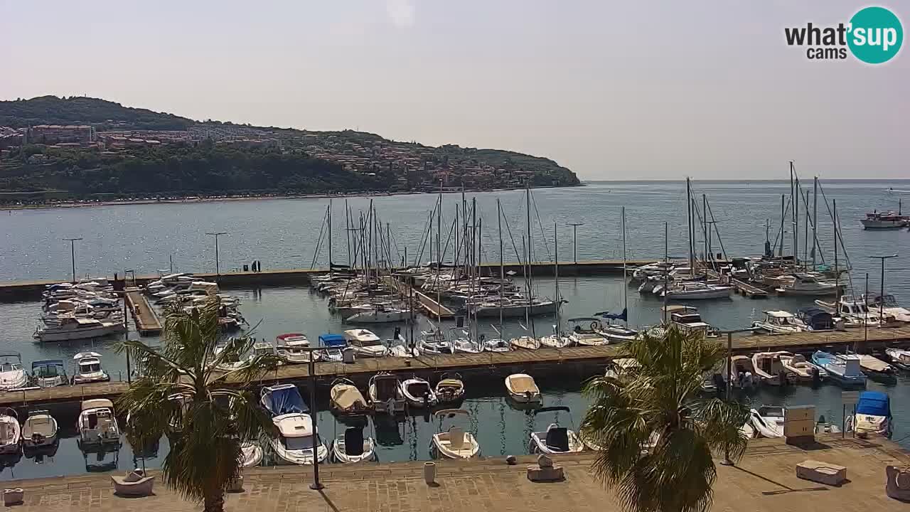 Webcam en direct du port de Koper – port de croisière et de fret – Slovénie