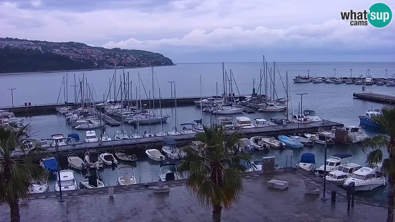 Webcam Koper – Panorama des Jachthafens und der Promenade vom Hotel Grand Koper