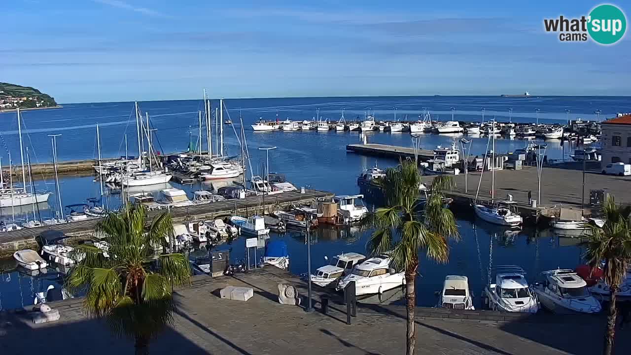 Spletna kamera Koper – Panorama na marino in promenado s Hotela Grand Koper