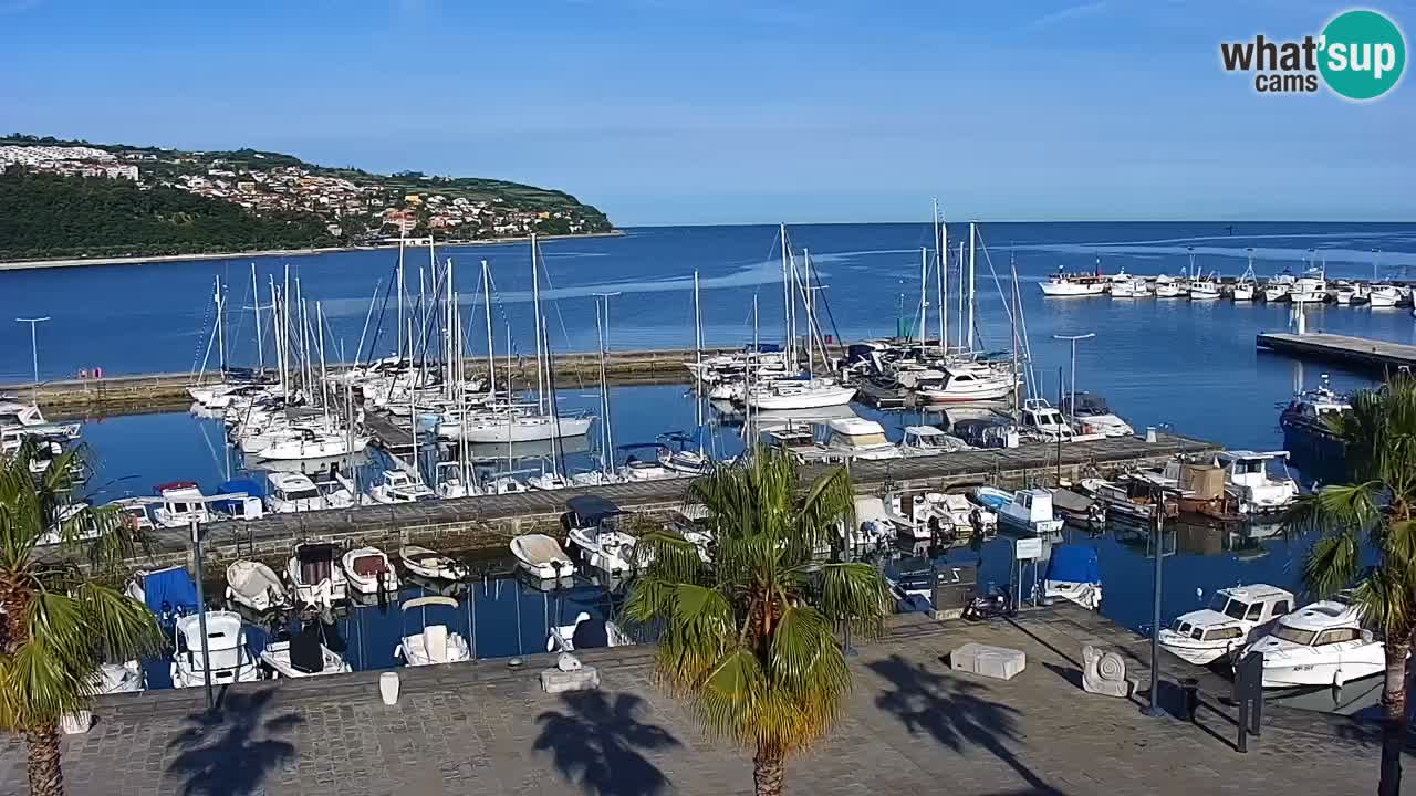 Luka Kopar uživo web kamera – Turistički terminal i teretna luka – Slovenija