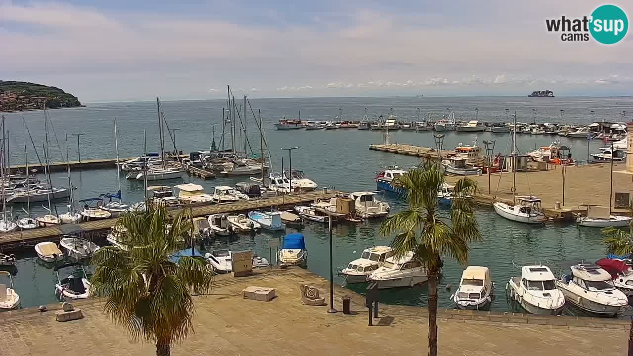 Camera en vivo Koper – puerto deportivo y paseo marítimo desde el Hotel Grand Koper