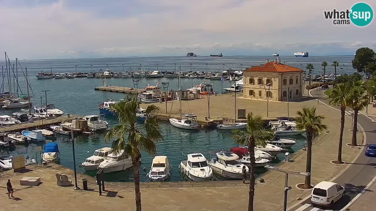 Camera en vivo Koper – puerto deportivo y paseo marítimo desde el Hotel Grand Koper