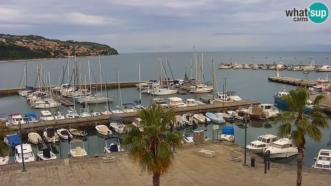 Webcam Koper – Panorama des Jachthafens und der Promenade vom Hotel Grand Koper