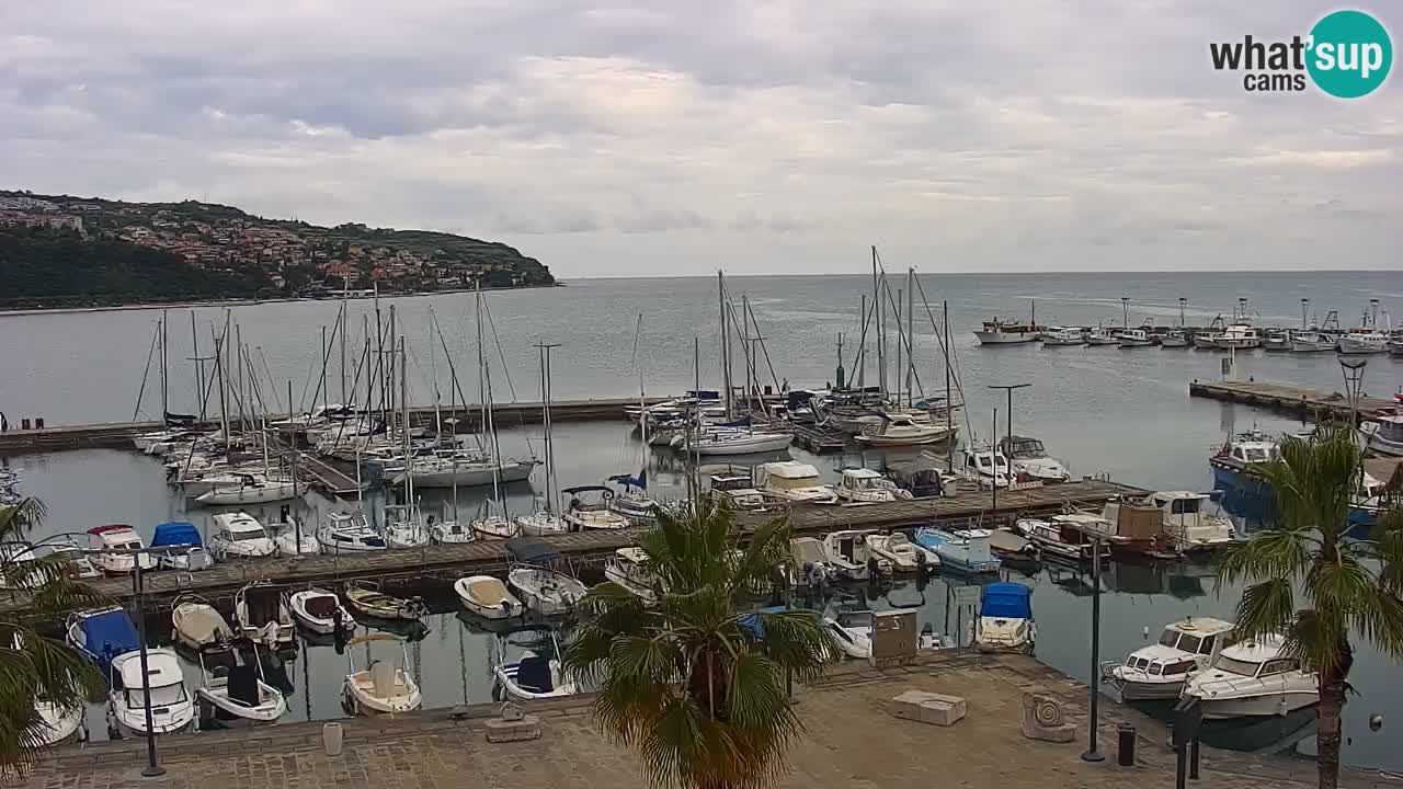 Webcam Capodistria – marina e lungo mare dall’Hotel Grand Koper