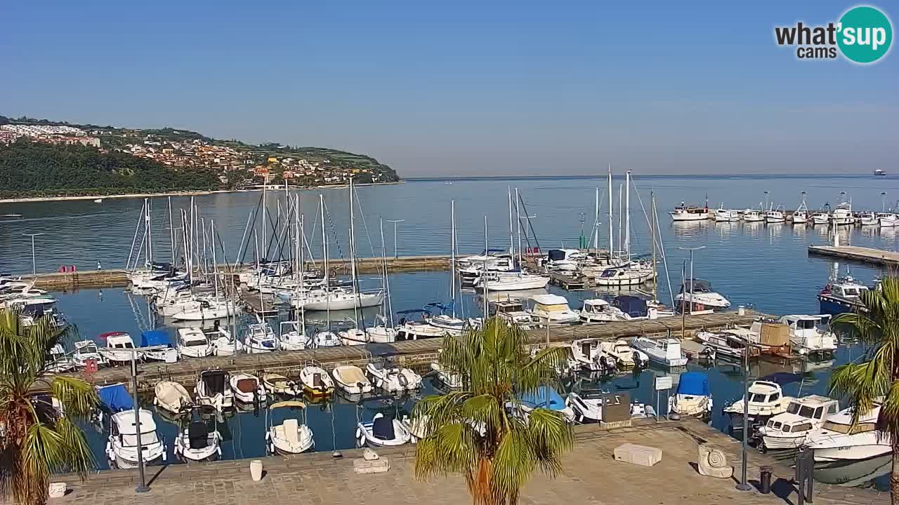Spletna kamera Koper – Panorama na marino in promenado s Hotela Grand Koper