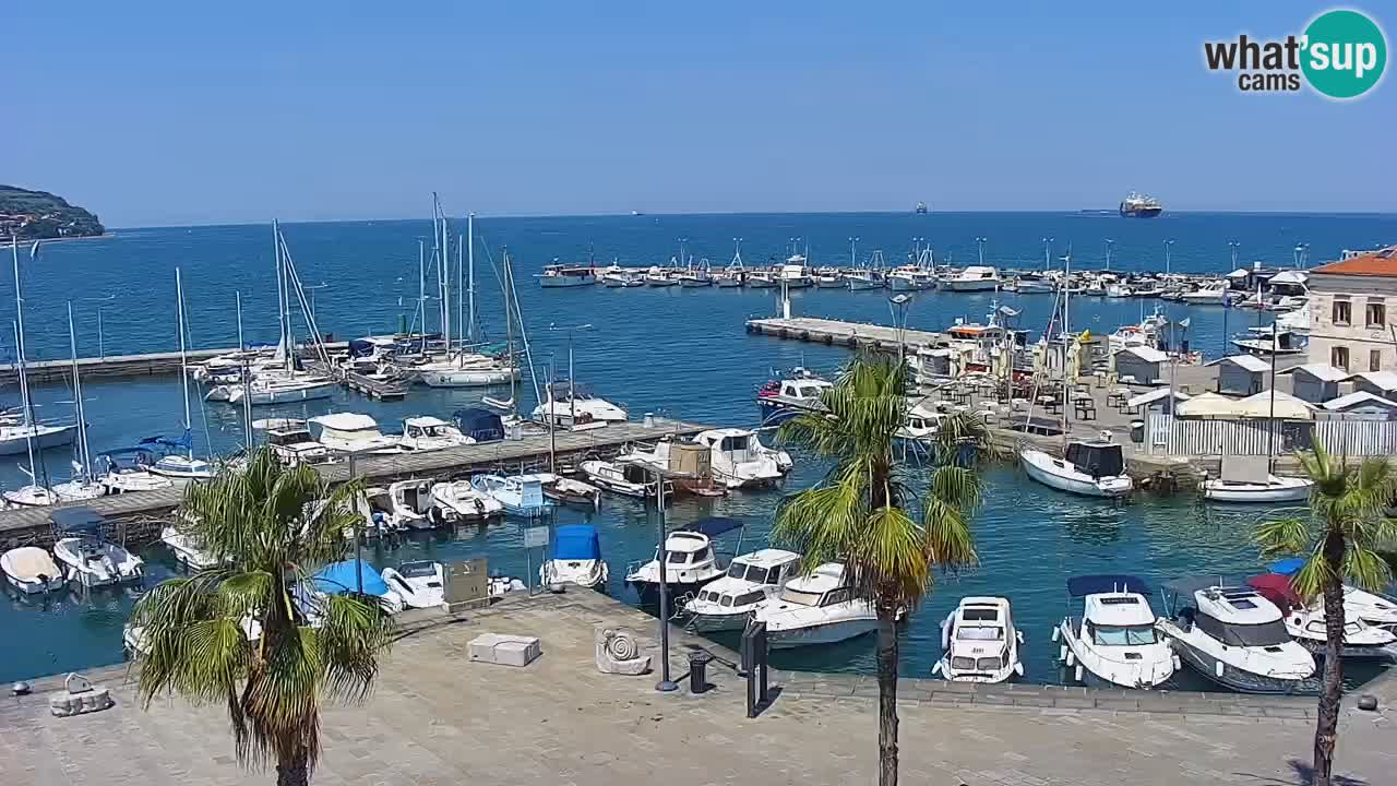 Webcam Koper – Panorama des Jachthafens und der Promenade vom Hotel Grand Koper