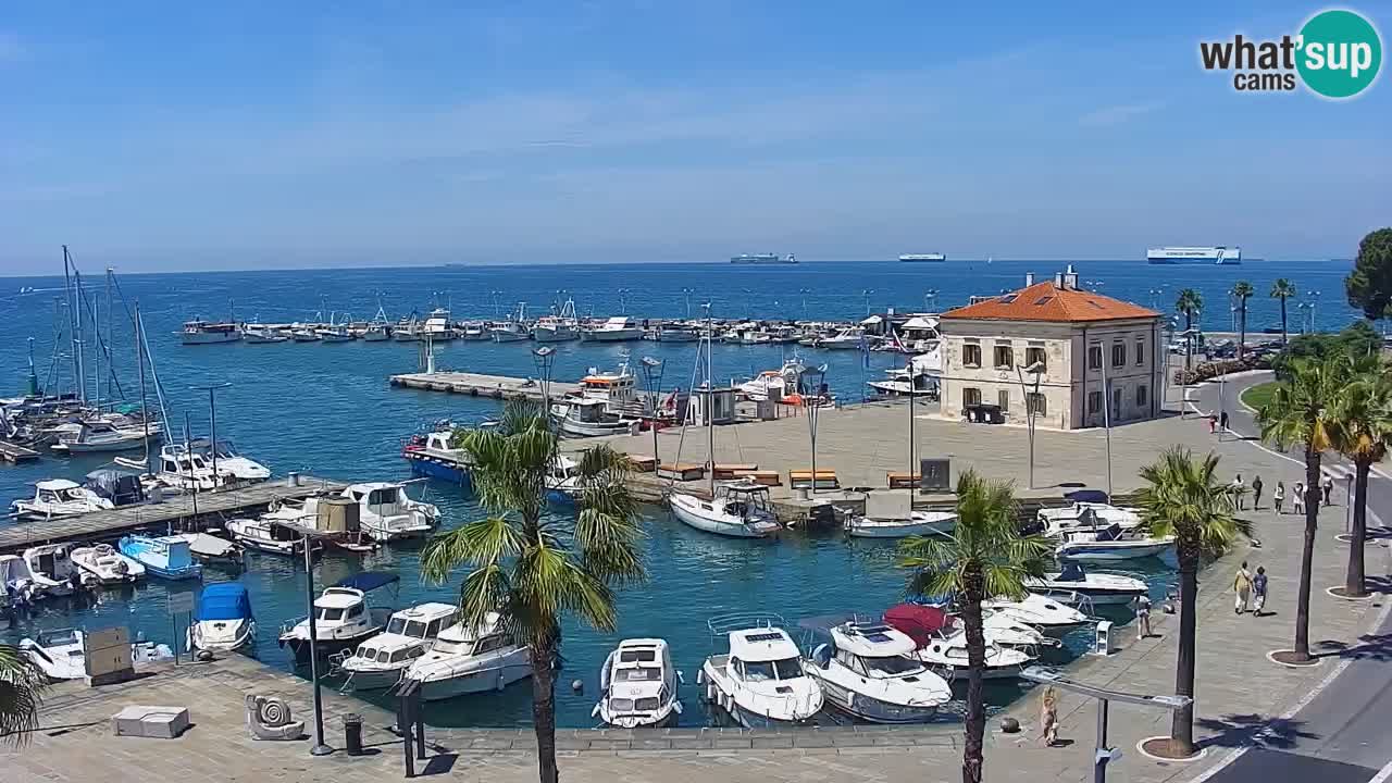 Webcam Koper – Panorama of the marina and promenade from the Grand Hotel Koper