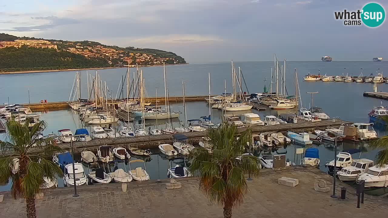 Webcam Koper – Panorama of the marina and promenade from the Grand Hotel Koper