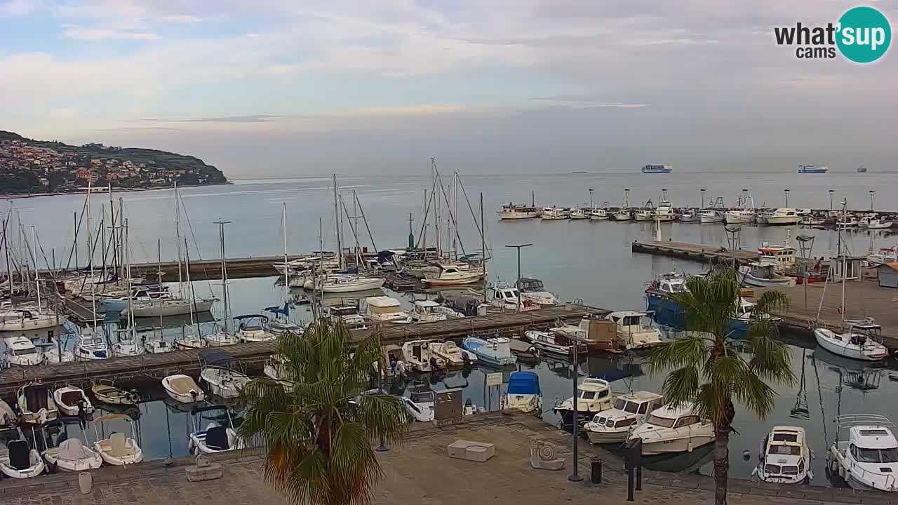 Web kamera Koper – marina i promenada – hotel Grand Koper