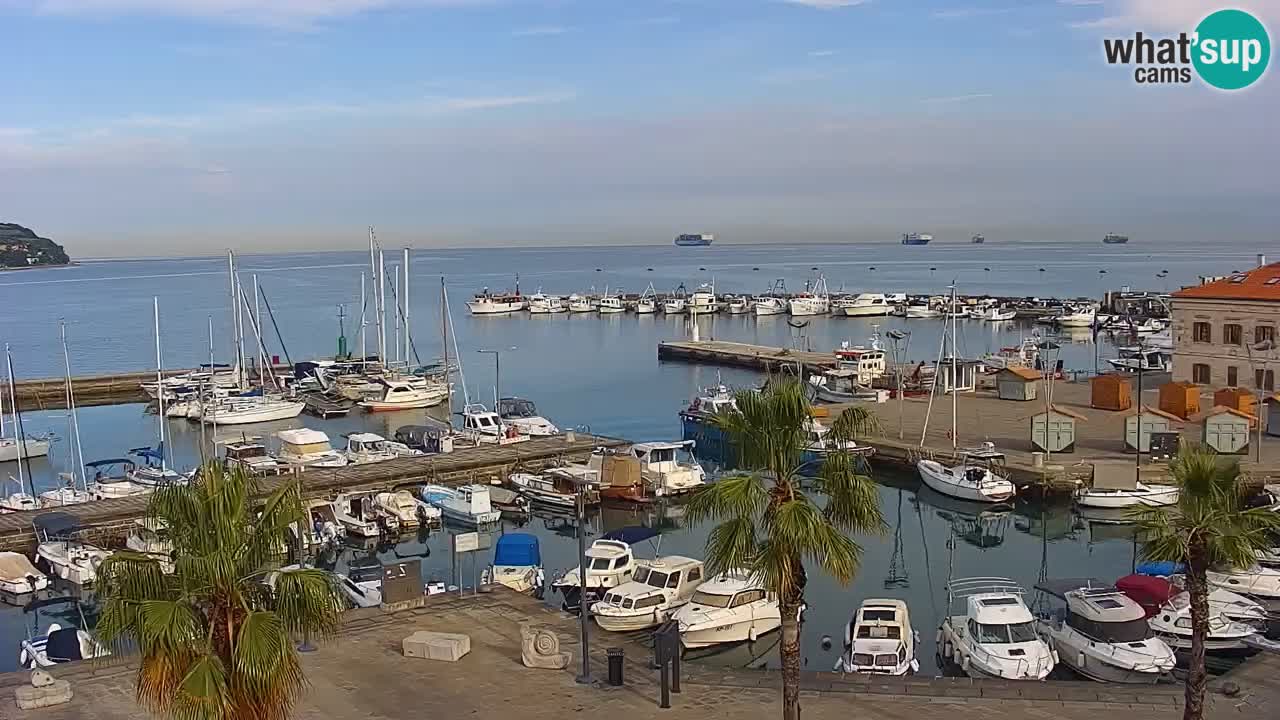 Webcam Koper – Panorama of the marina and promenade from the Grand Hotel Koper