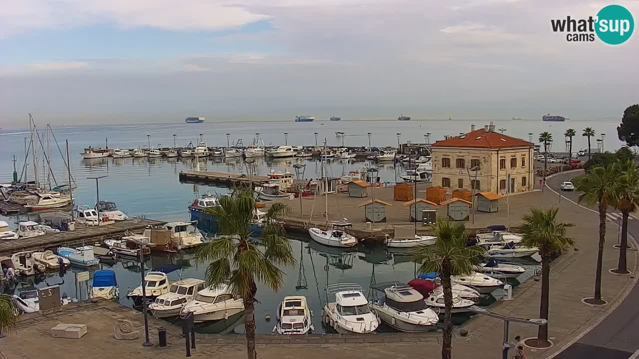 Spletna kamera Koper – Panorama na marino in promenado s Hotela Grand Koper