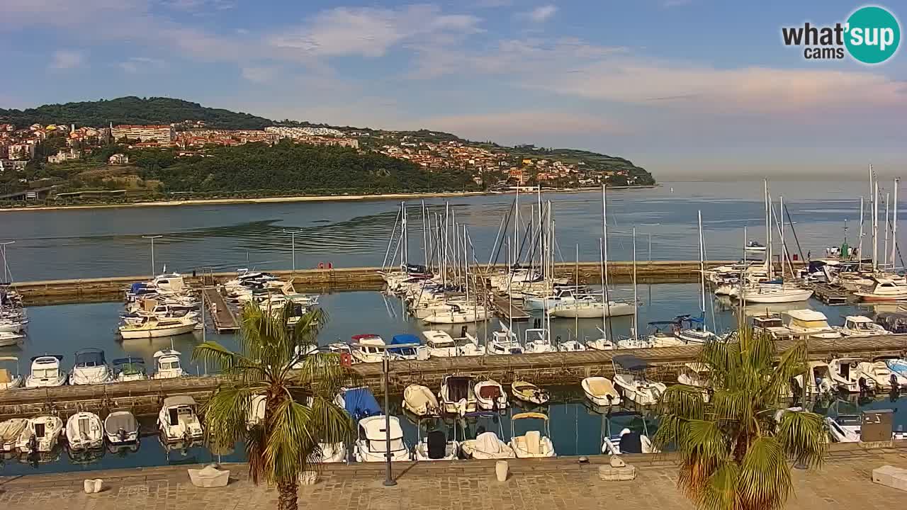 Web kamera Koper – marina i promenada – hotel Grand Koper