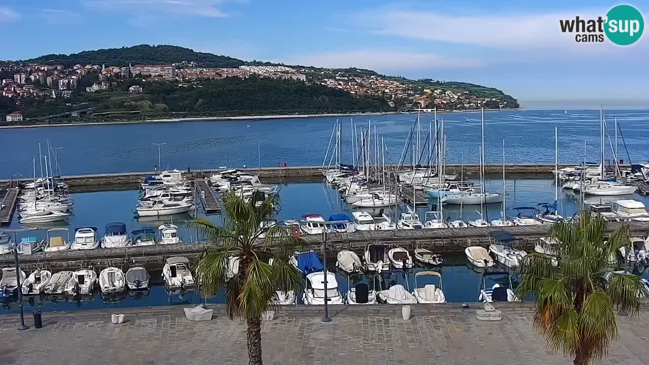 Web kamera Koper – marina i promenada – hotel Grand Koper