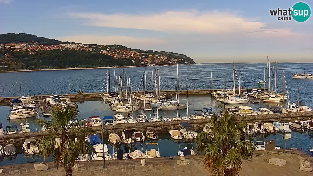Spletna kamera Koper – Panorama na marino in promenado s Hotela Grand Koper