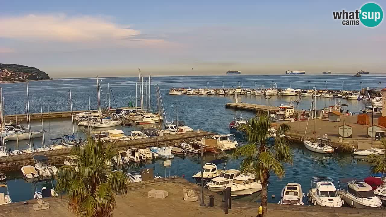 Camera en vivo Koper – puerto deportivo y paseo marítimo desde el Hotel Grand Koper