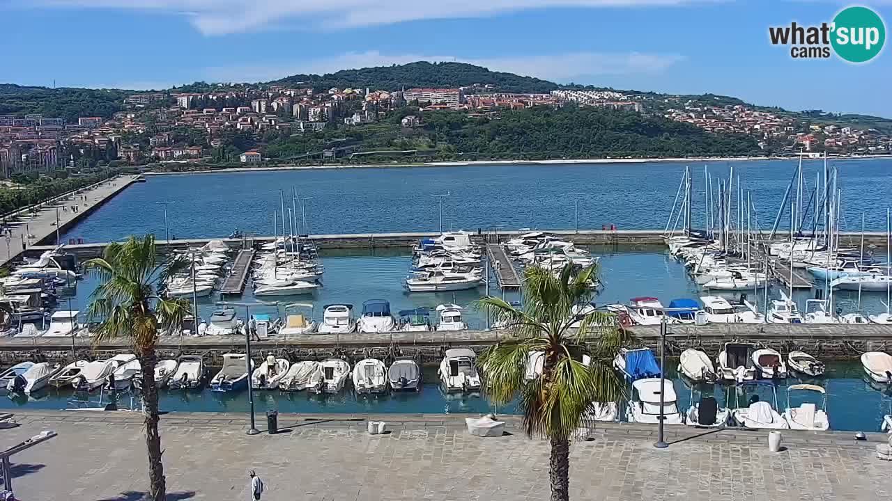 Camera en vivo Koper – puerto deportivo y paseo marítimo desde el Hotel Grand Koper