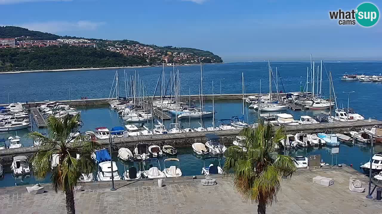 Camera en vivo Koper – puerto deportivo y paseo marítimo desde el Hotel Grand Koper