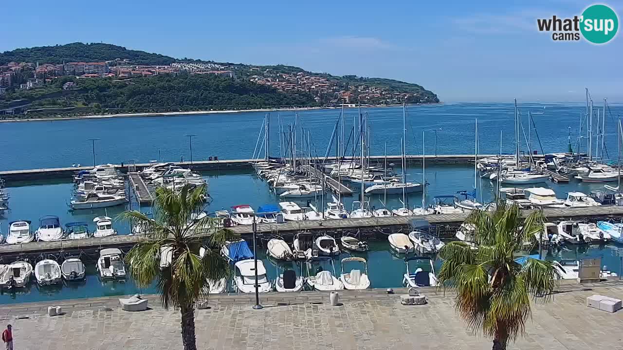 Web kamera Koper – marina i promenada – hotel Grand Koper