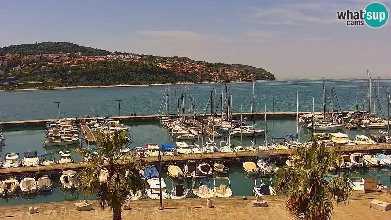 Camera en vivo Koper – puerto deportivo y paseo marítimo desde el Hotel Grand Koper