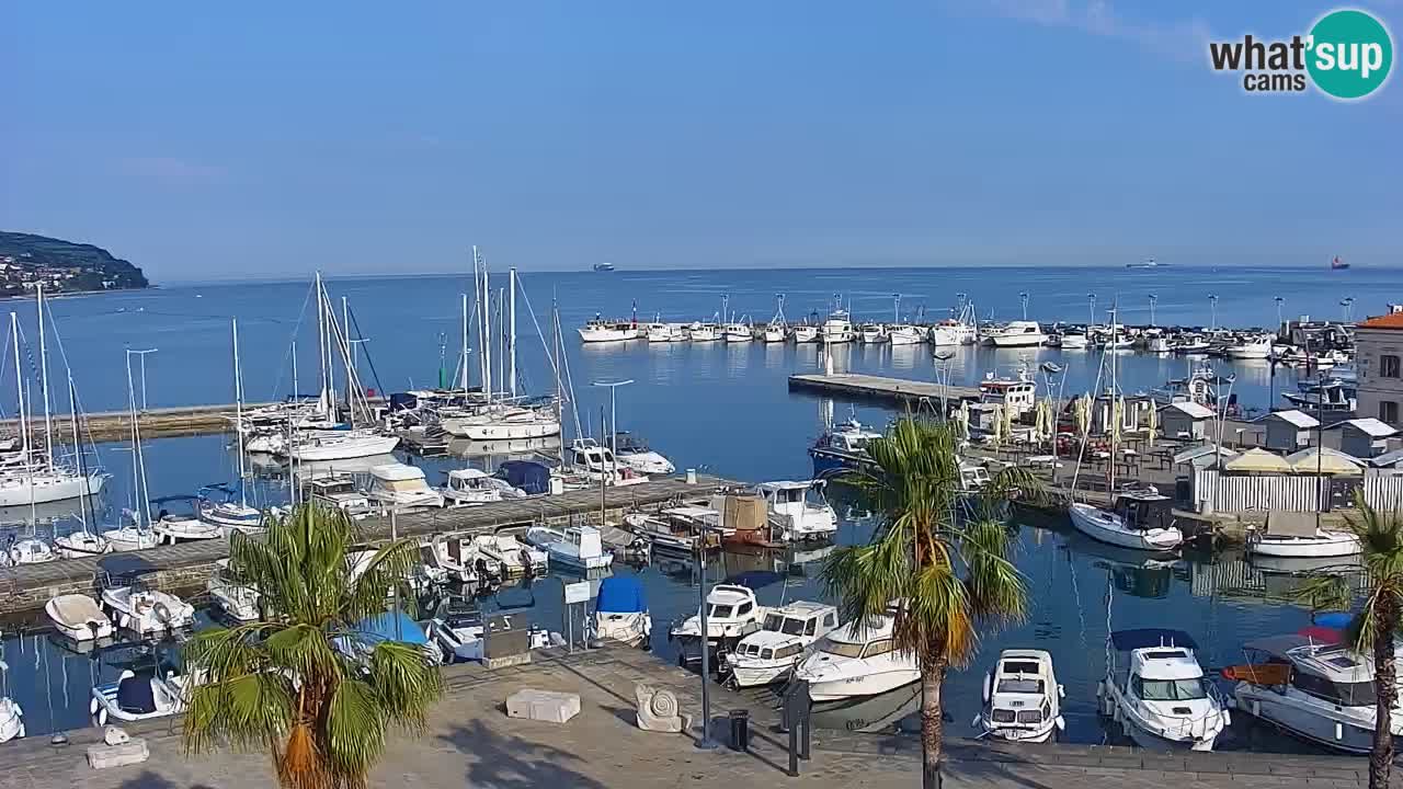 Webcam Koper – Panorama de la marina et de la promenade depuis le Grand Hotel Koper