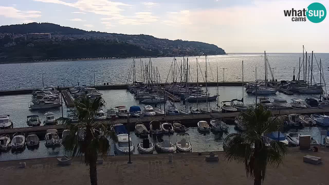 Spletna kamera Koper – Panorama na marino in promenado s Hotela Grand Koper